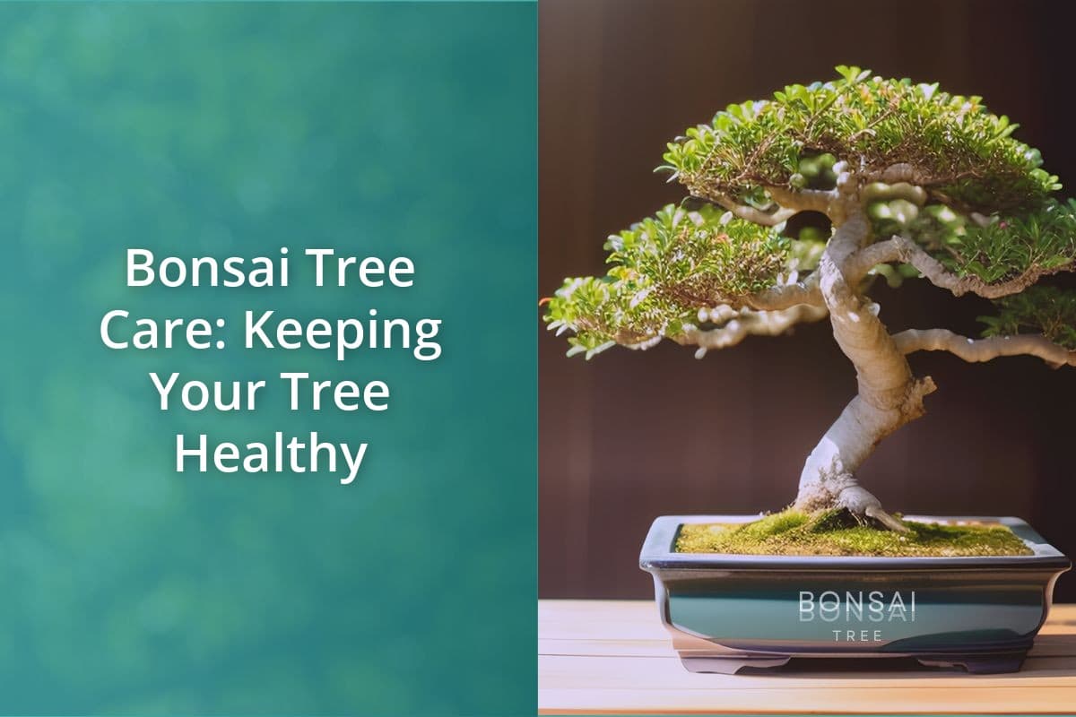 Bonsai Care Tips to Keep Your Tree Happy