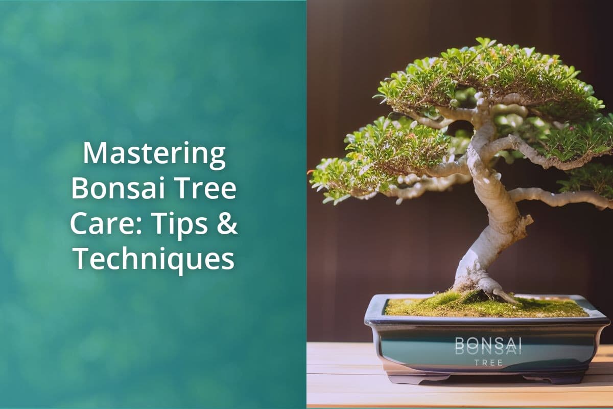 Mastering Bonsai Tree Care Tips And Techniques Bonsai Bonsai Tree